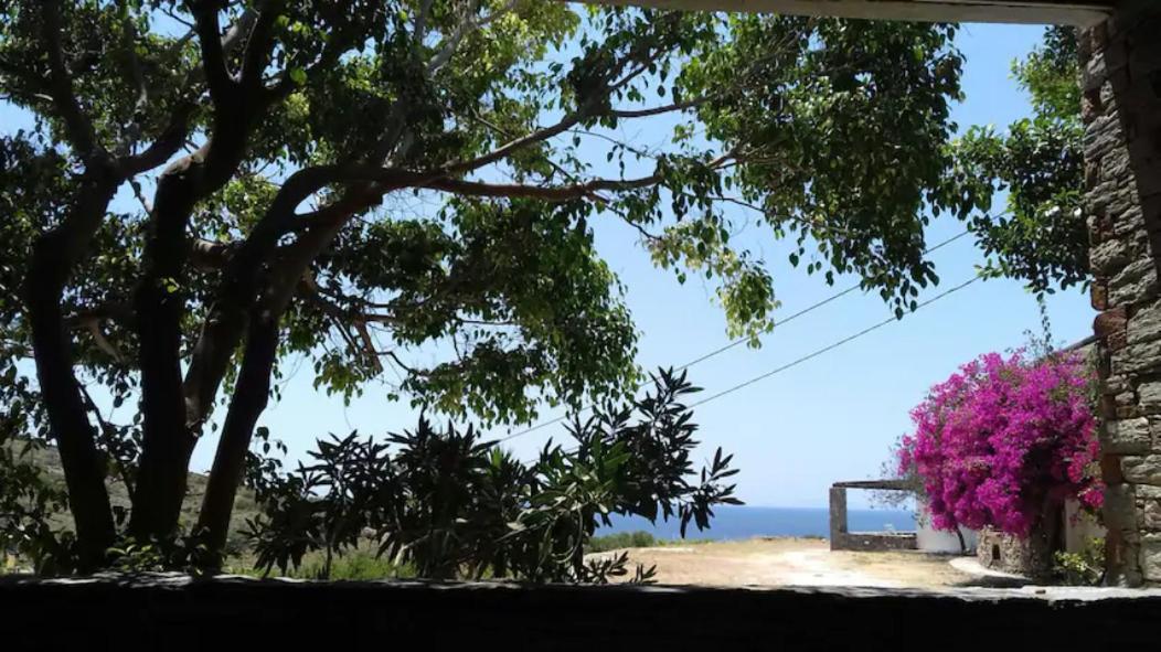 Villa Elea Koundouros Esterno foto