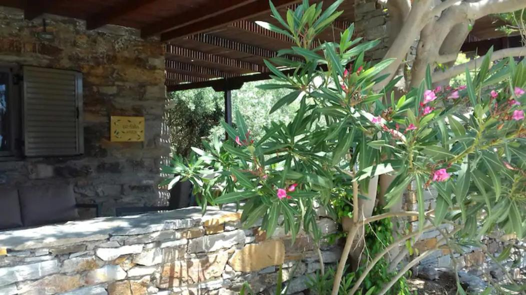 Villa Elea Koundouros Esterno foto